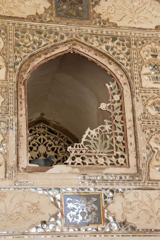 India & Nepal 2011 - 1419